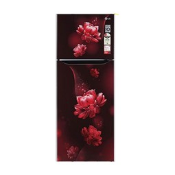 Picture of LG 242 Litres 2 Star Smart Inverter Frost-Free Double Door Refrigerator (GLN292BSEY)